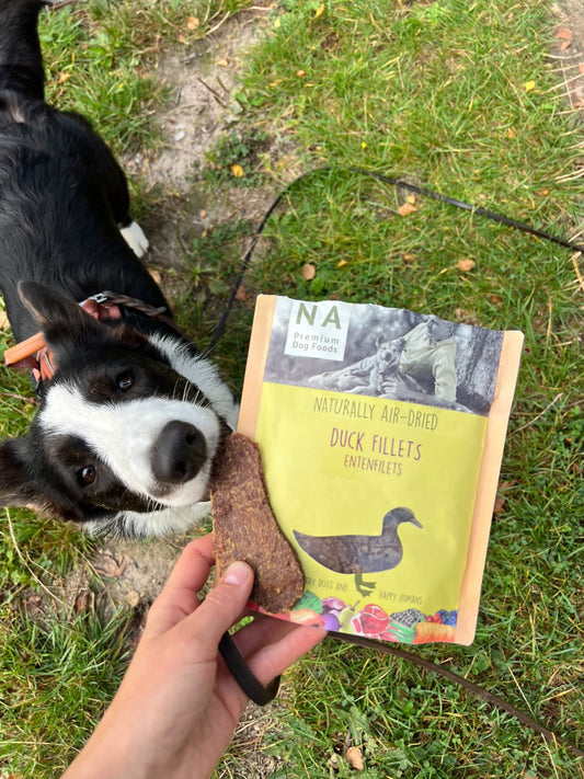 Sanadog Ande filéter - 100g