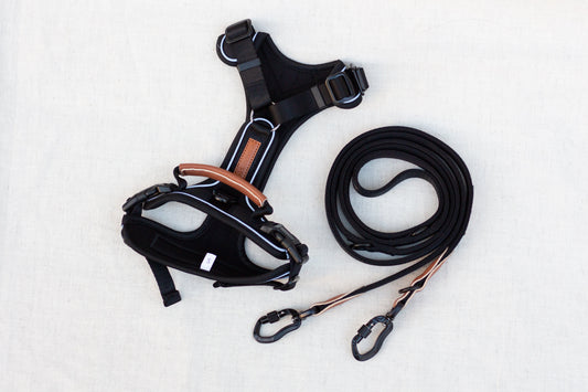 Justerbar hundesnor PRO - Black