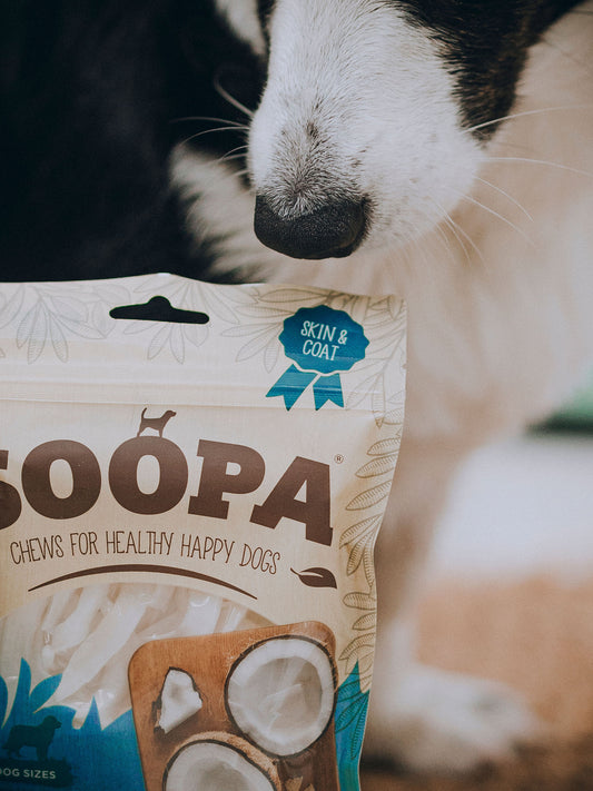 Soopa Tørret kokosnødde chew - 100g