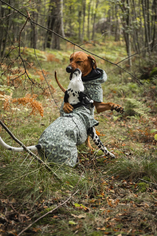 ((PRE-ORDER)) Paikka Visibility regnfrakke Grøn Leo