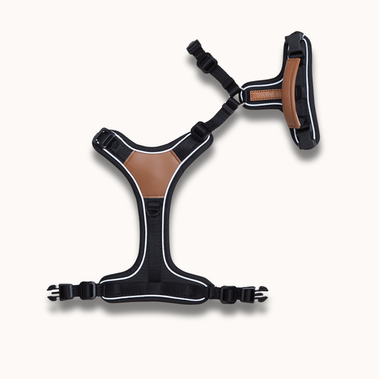 Terrain Trails Pro Hundesele - Black