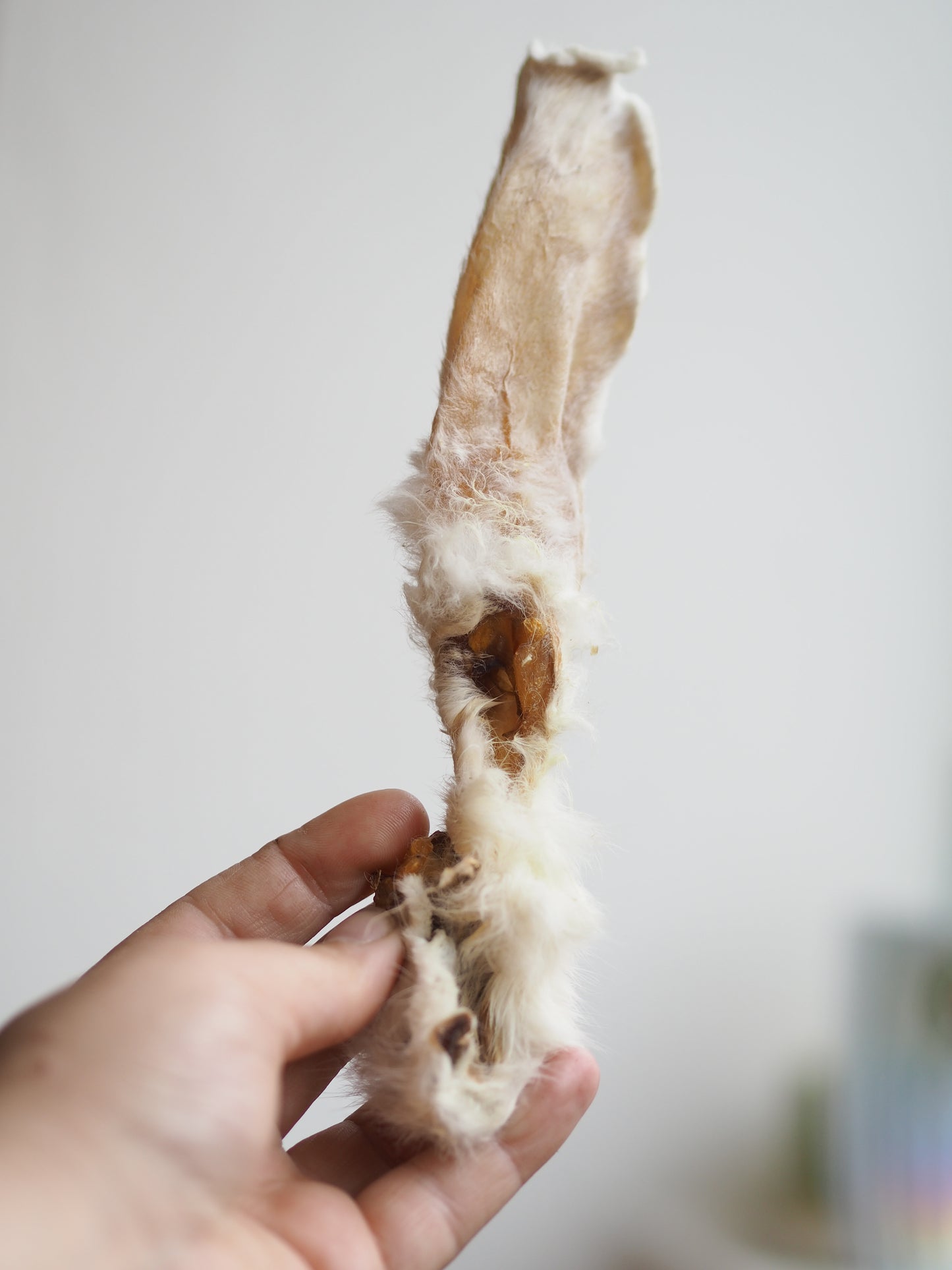 Vufferiet's favoritter Kaninøre - 1 stk