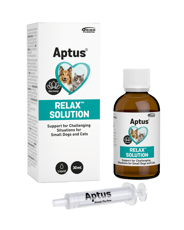 Apotek