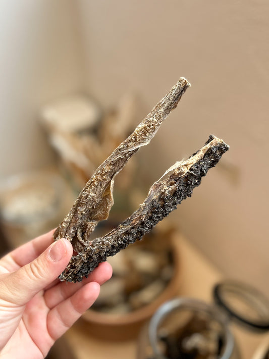 Whesco Lammekallun - 1 stk