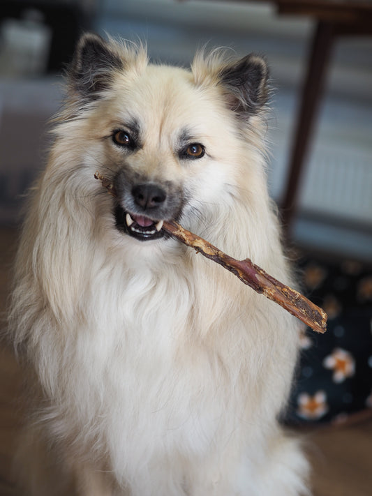 Vufferiet's favoritter Hjorte akillessene - 1 stk