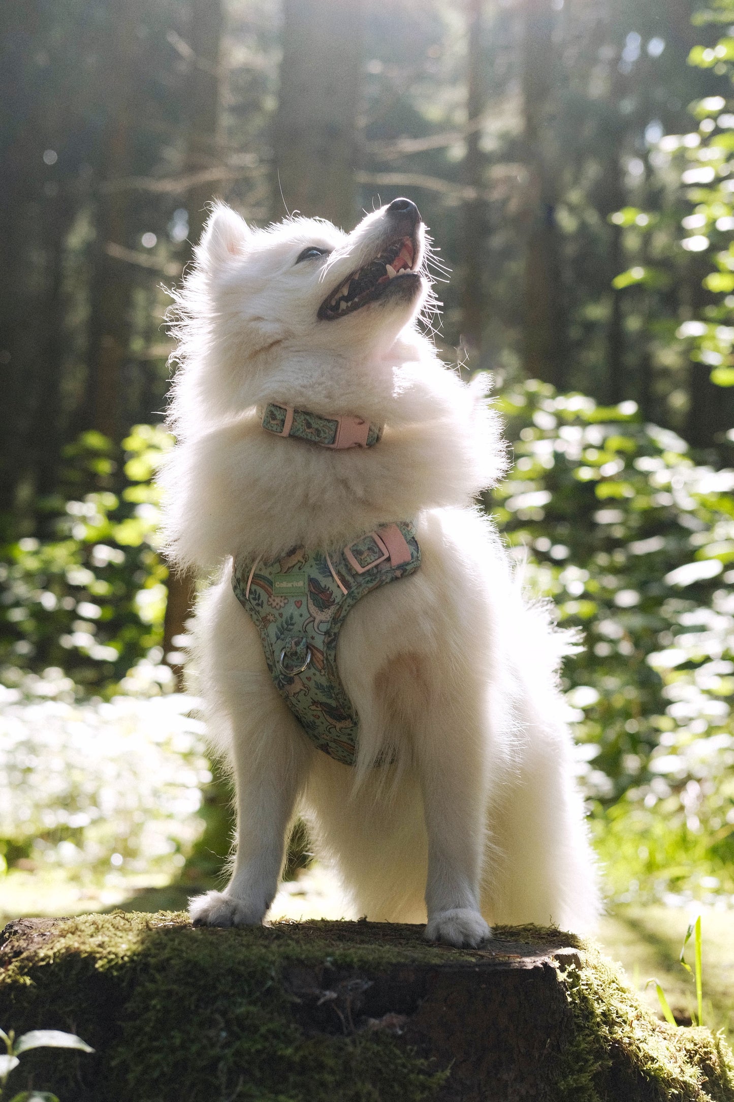 Adventure Trails hundesele - Proud To Be A Unicorn
