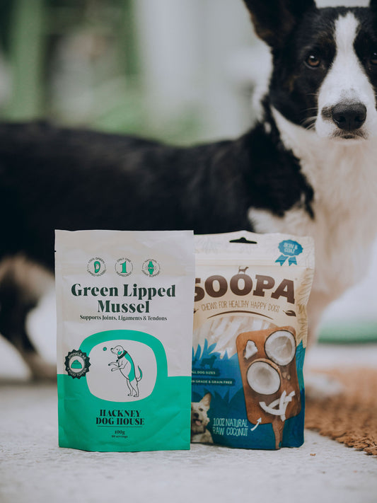 Hackney dog house grønlæbet muslinge pulver