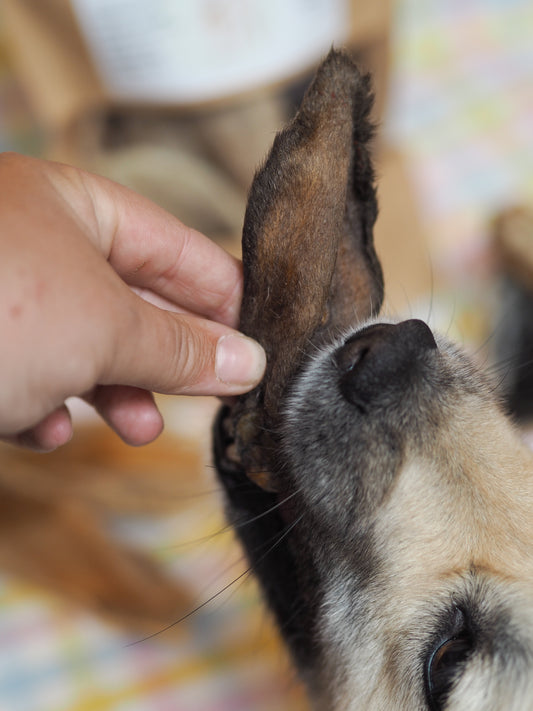Vufferiet's favoritter lammeører med pels - 1 stk