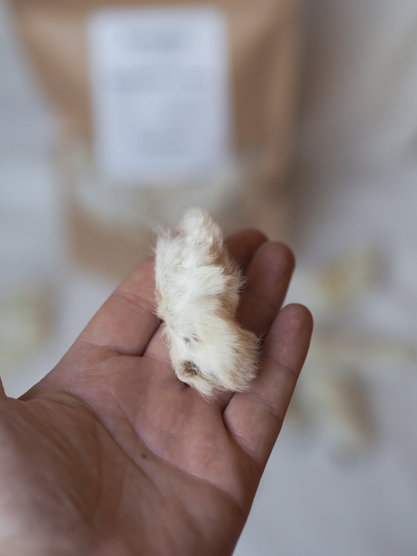 Vufferiet's favoritter Kaninpote - 1 stk