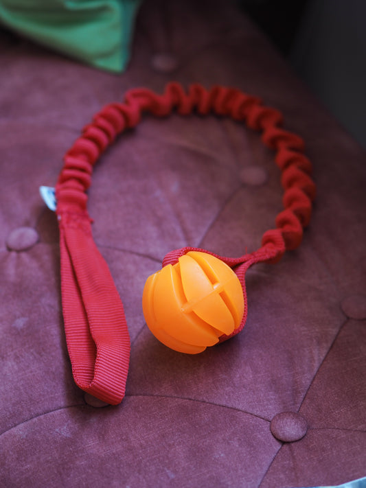 Fenriz Aktiv Bungee m. Bold, ø6cm