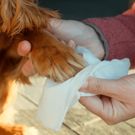 Beco Bamboo Wipes Travel med kokos duft - 20stk