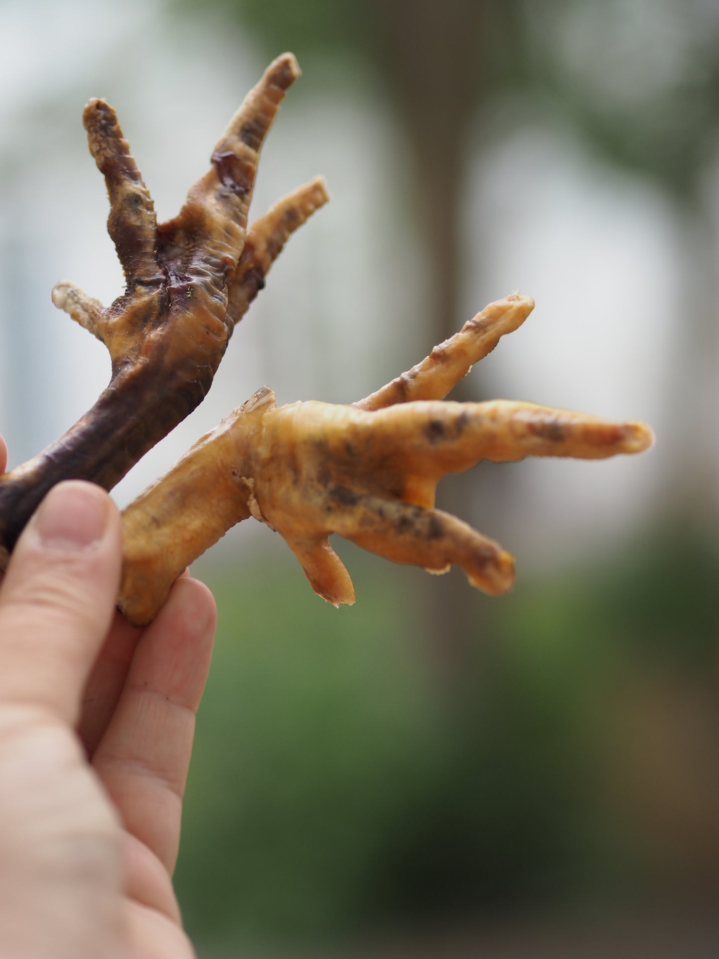 Vufferiet's favoritter hønsefod - 1 stk