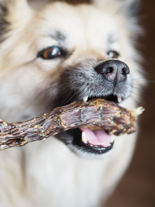 Vufferiet's Favoritter Tørrede andehalse - 1 stk