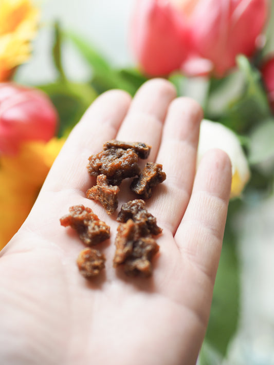 Sanadog mini godbidder Kylling - 100g