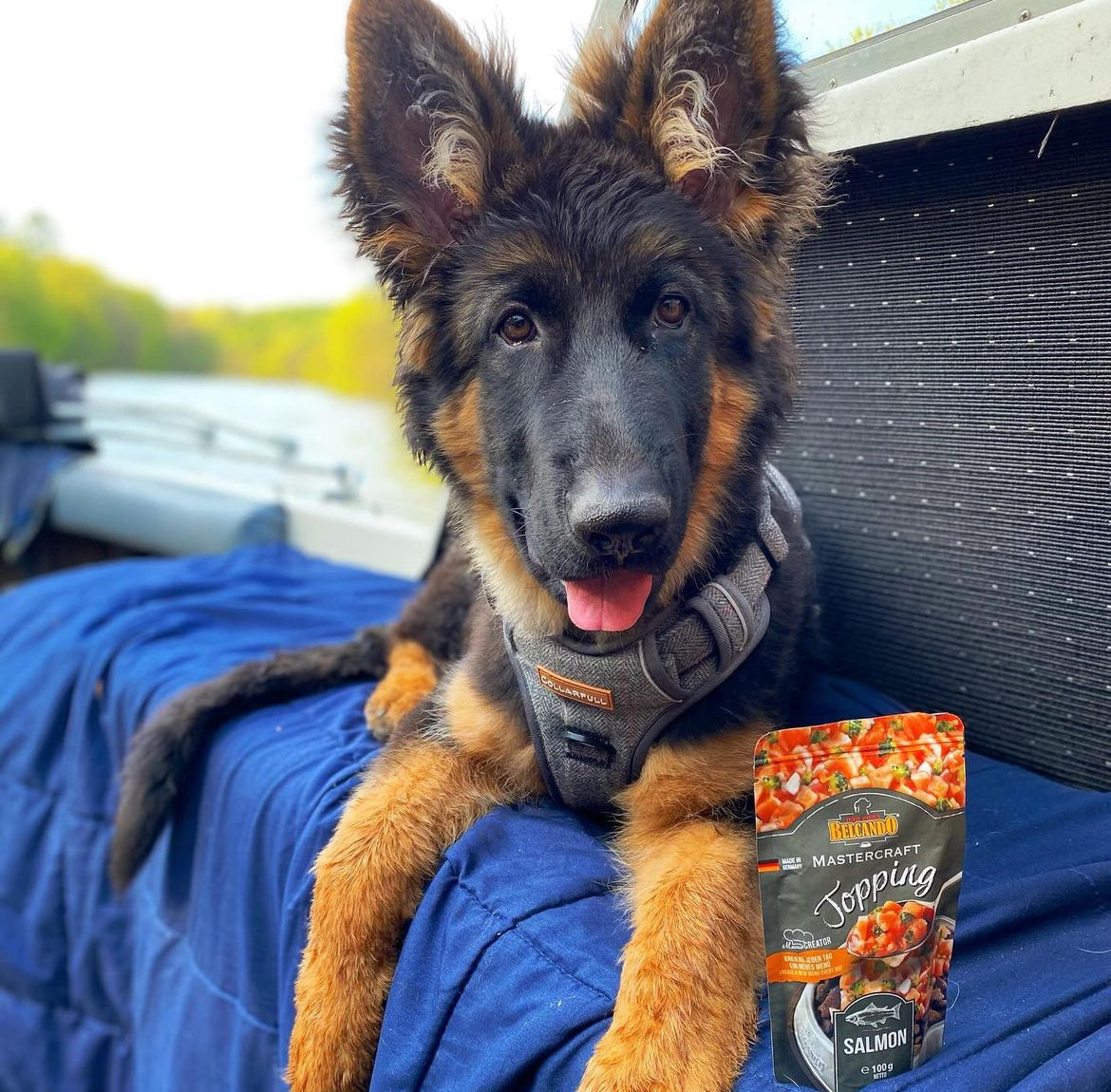 Mastercraft Topping laks - 100g