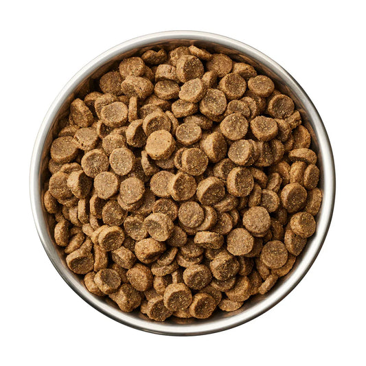 Globe Buddy Blue premium fuldfoder med laks - 4 kg