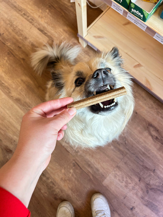 Banan- Og Peanutbutter tyggepinde