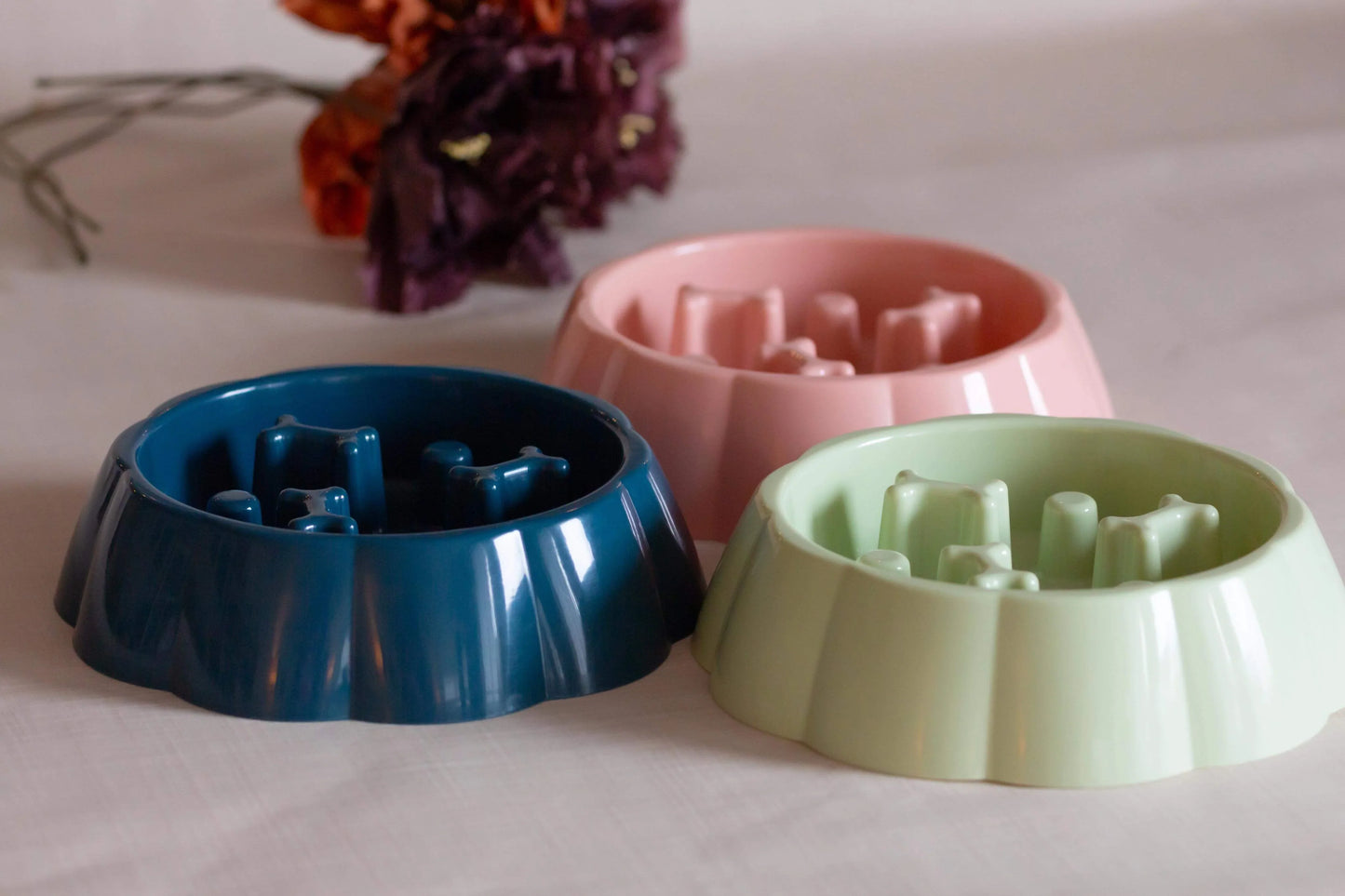 Dots n' bones slowfeeder