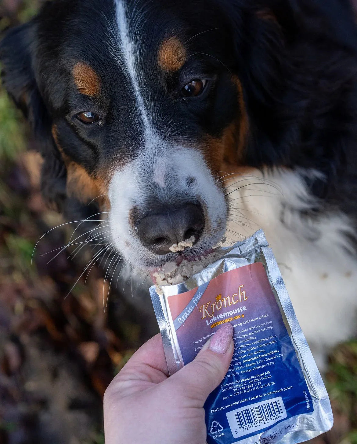 Vådfoder til katte 😸