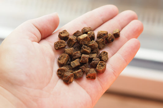 Dolina Noteci Superfood mini Lam & Rejer - 1kg