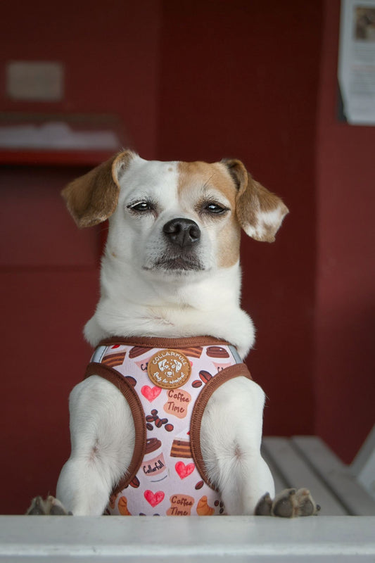 Tiny Trails step-in hundesele - Take a break, with Coffee N' Cake
