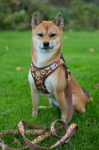 Justerbar hundesnor - Sunflowers on my mind