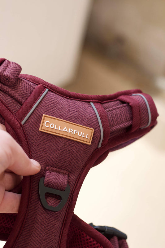 Adventure Trails hundesele - Burgundy Herringbone Tweed