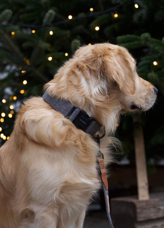 Halsbånd - Grey Herringbone Tweed