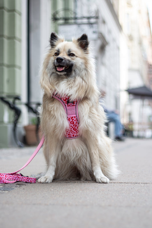 Justerbar hundesnor - Pink Panther