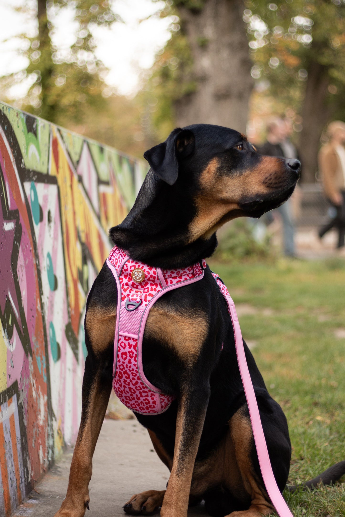 Justerbar hundesnor - Pink Panther