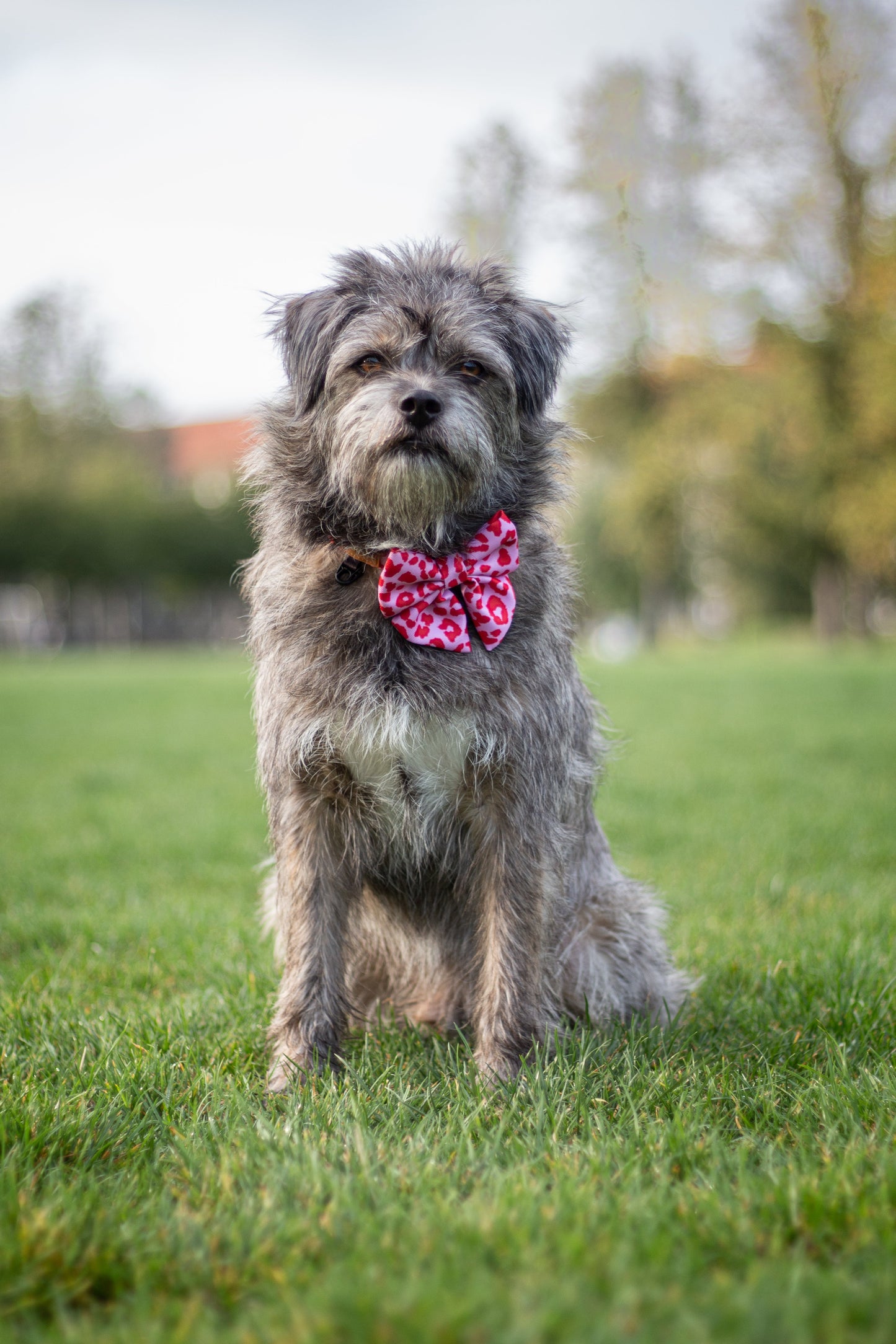 Sailor bowtie - Pink Panther