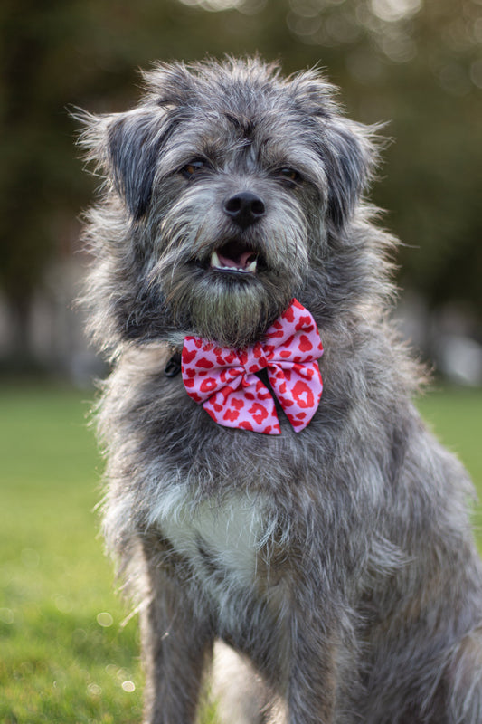 Sailor bowtie - Pink Panther