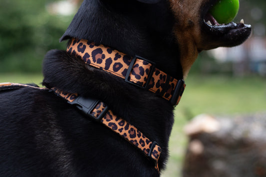 Halsbånd - Lovely Leopard