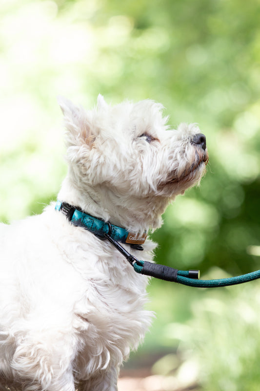 Justerbar rebsnor - Dark Green