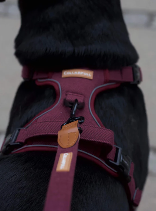 Justerbar hundesnor - Burgundy Herringbone Tweed
