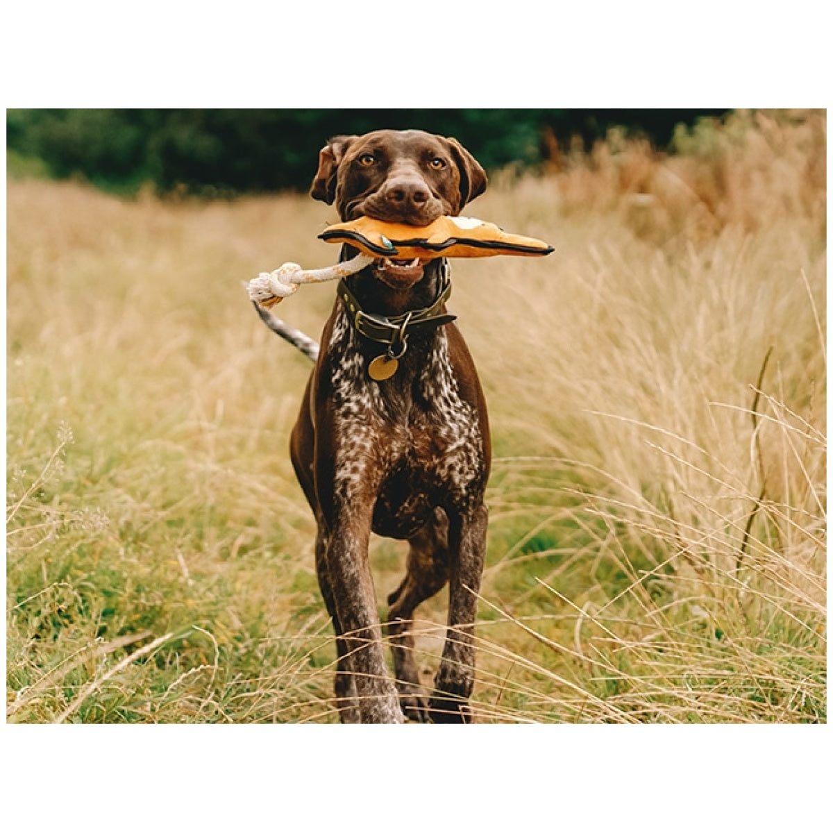 Beco Rough & Tough Kænguru