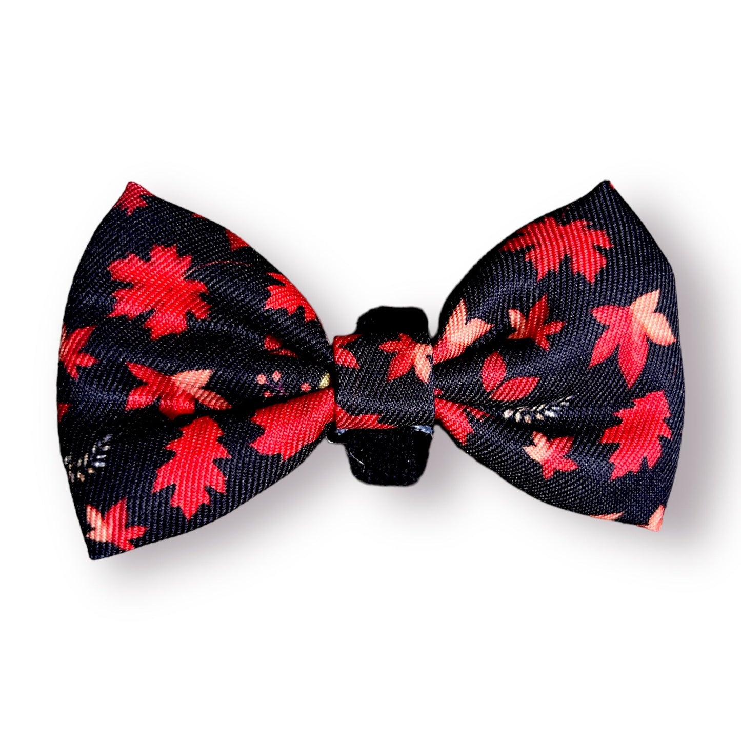 Butterfly - Leave me not