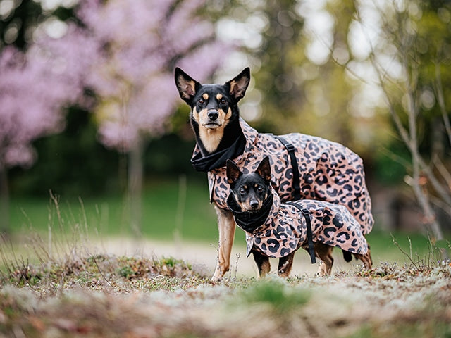 Regnfrakker til hunde