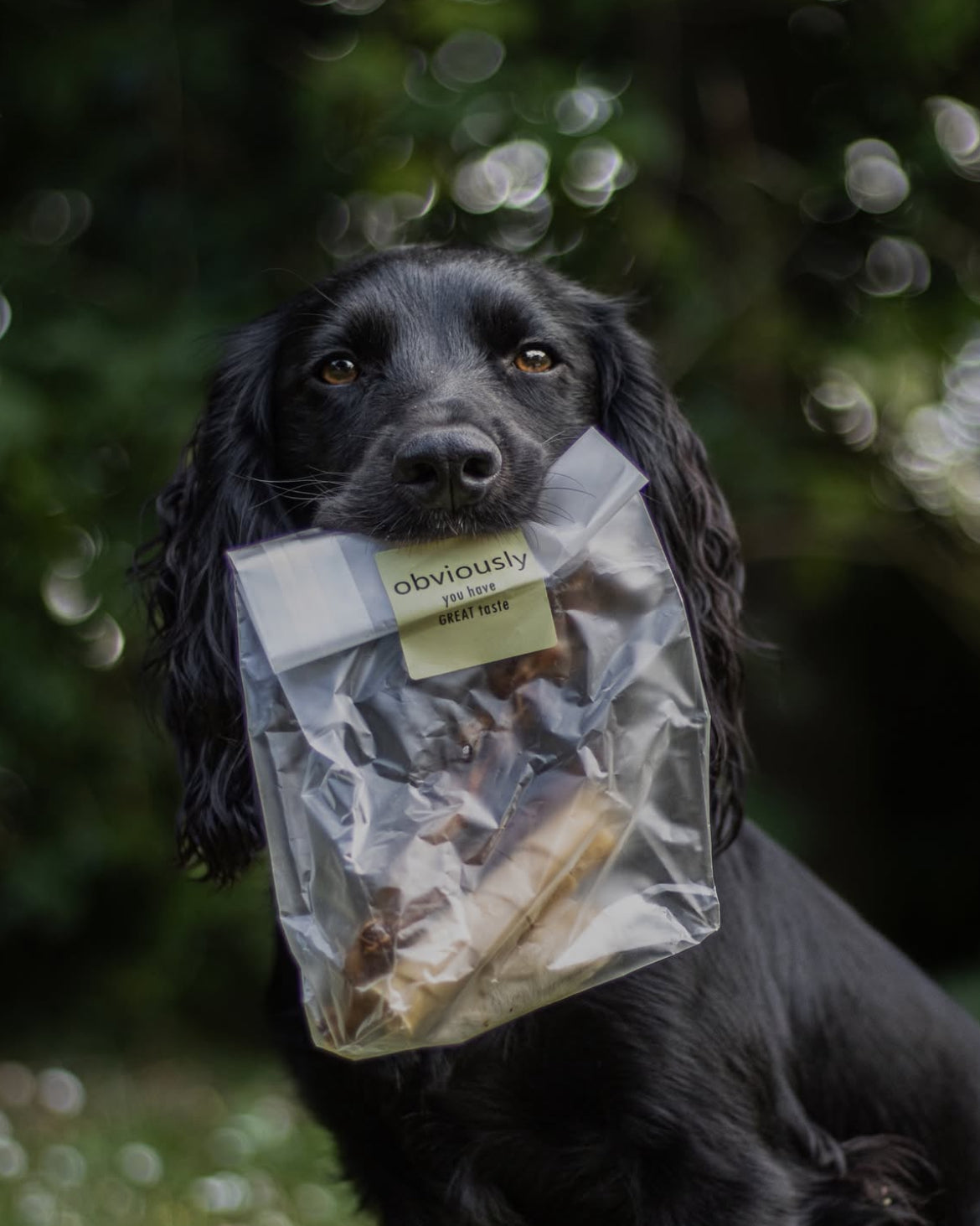 Mix your own goodness