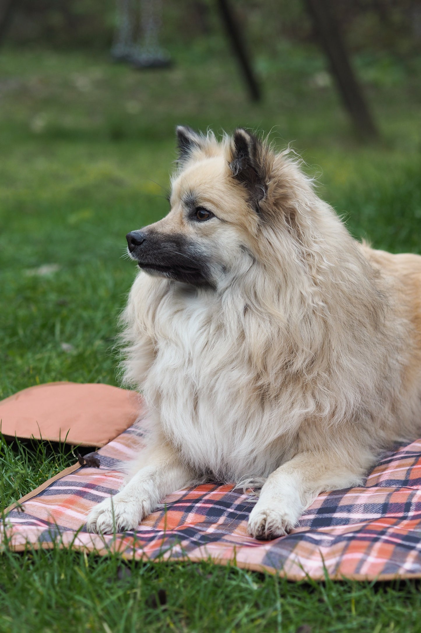 Travel mat - Fall Tartan