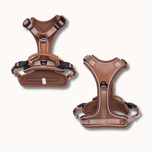 Terrain Trails Pro Hundesele - Caramel