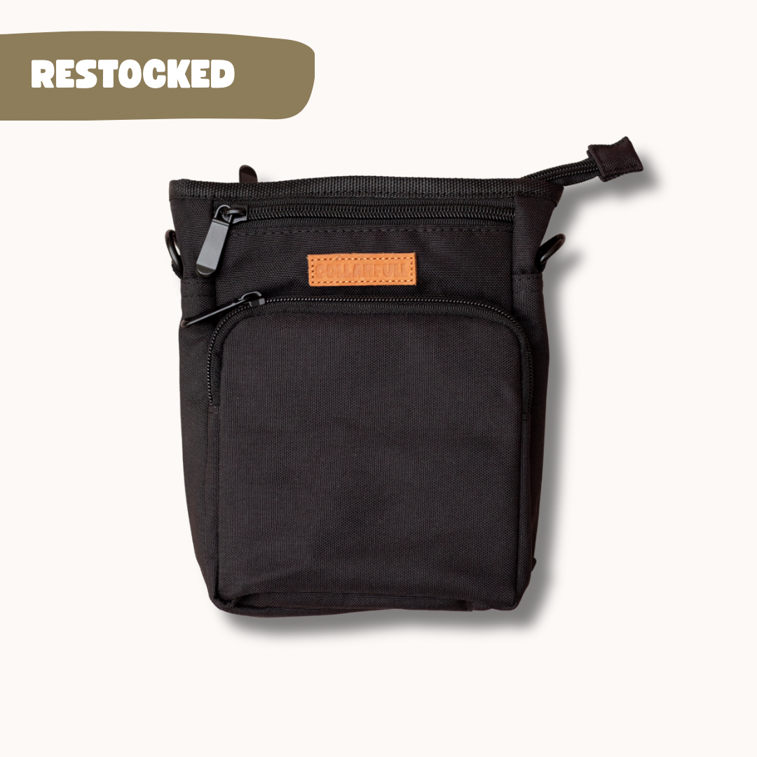 Adventure treat bag - Orca