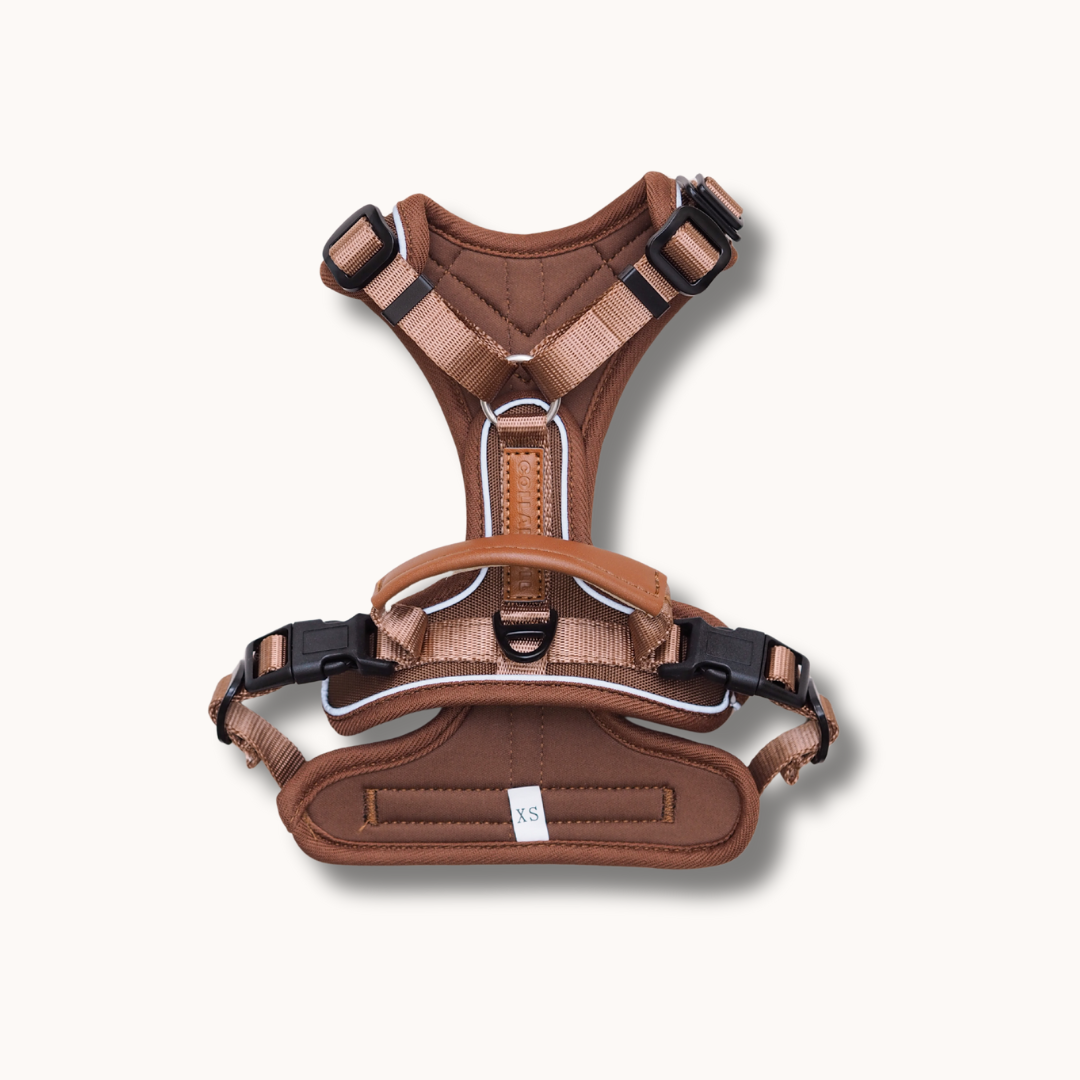 Terrain Trails Pro Hundesele - Caramel