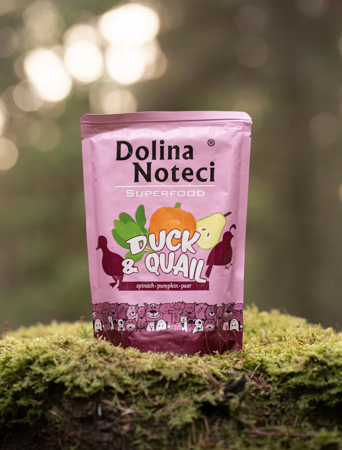 Dolina Noteci Superfood Paté And & Vagtel - 300g