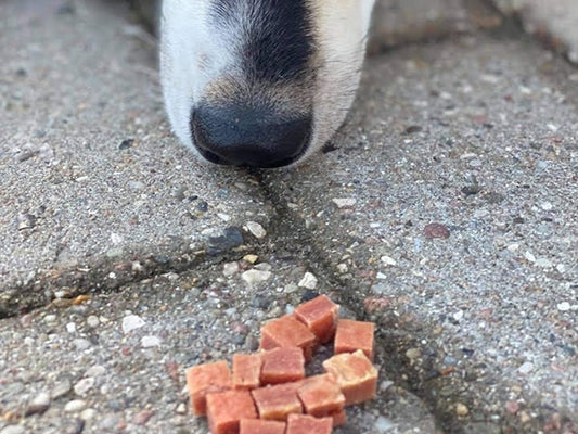 Woolf Duck Chunkies - 100g