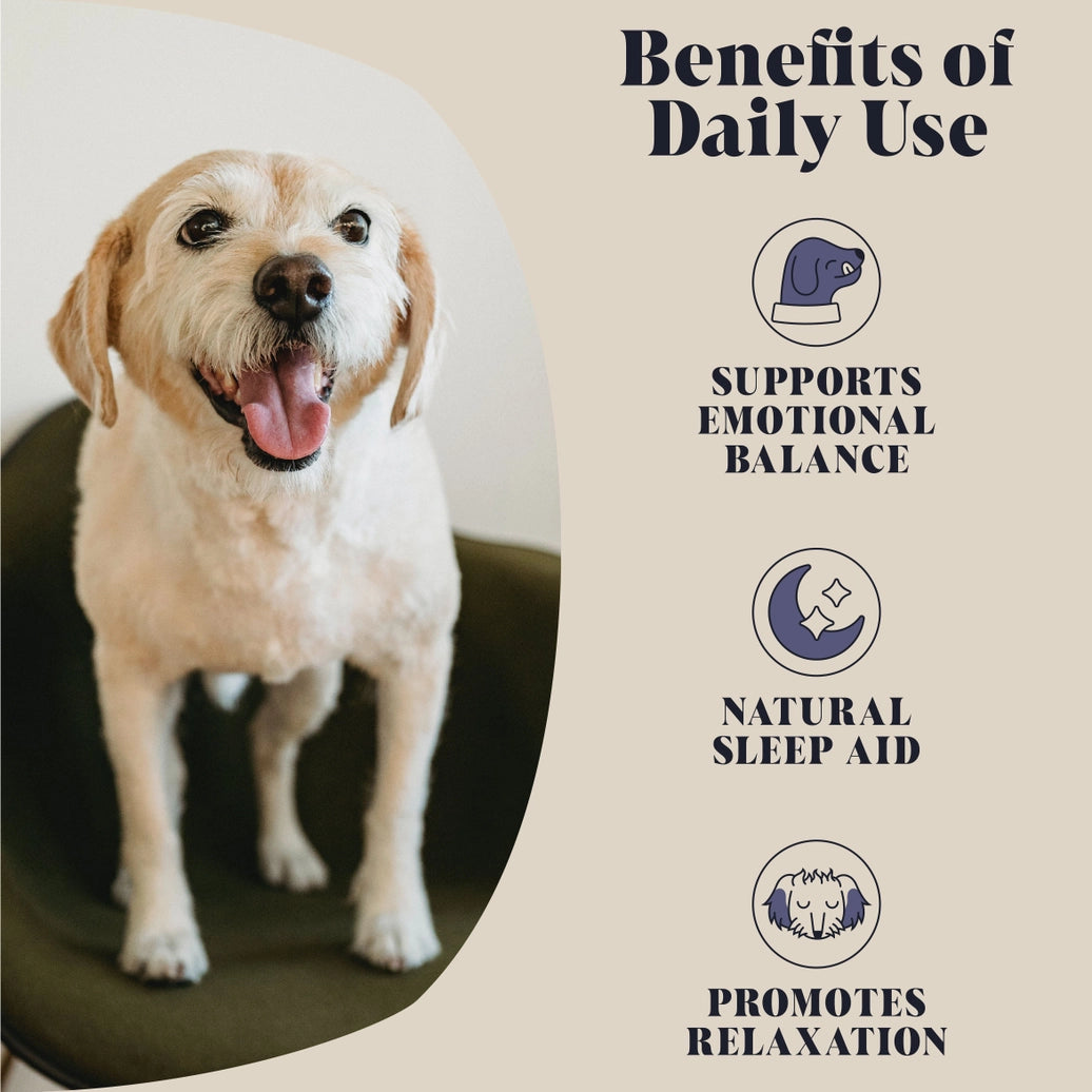 Hackney doghouse Calming Topper