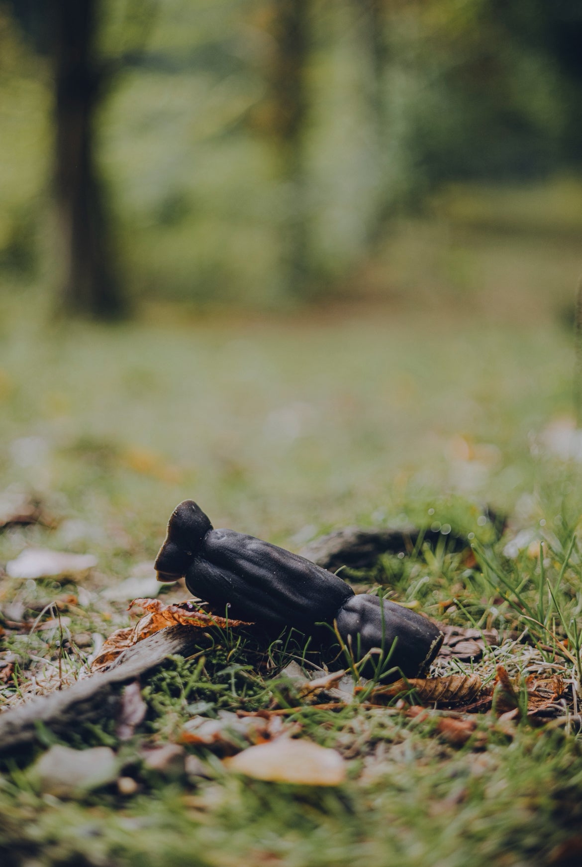 Whesco Kamelskindsruller - 150g