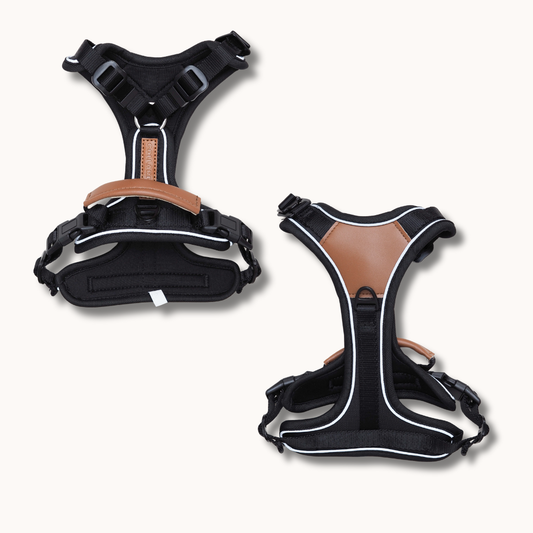 Terrain Trails Pro Hundesele - Black