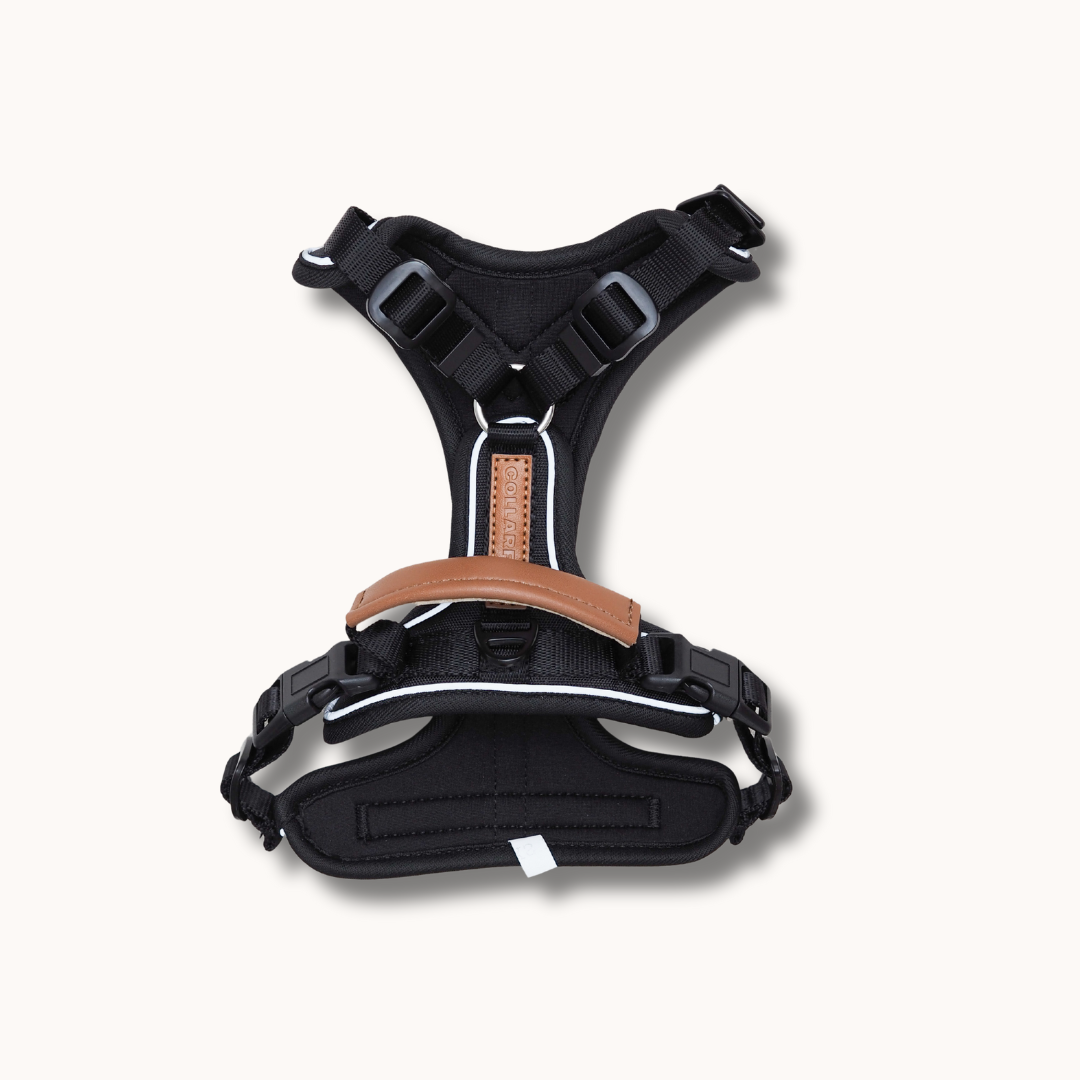 Terrain Trails Pro Hundesele - Black