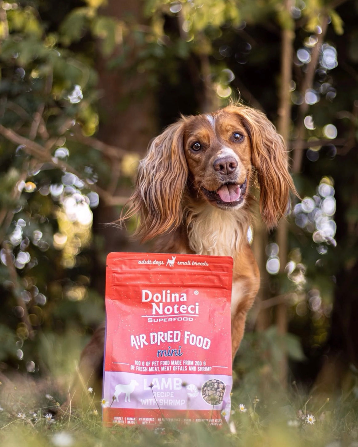 Dolina Noteci Superfood mini Lam & Rejer - 1kg